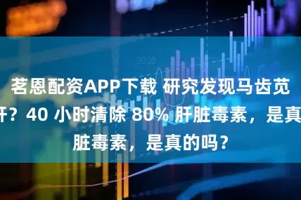 茗恩配资APP下载 研究发现马齿苋能清肝？40 小时清除 80% 肝脏毒素，是真的吗？